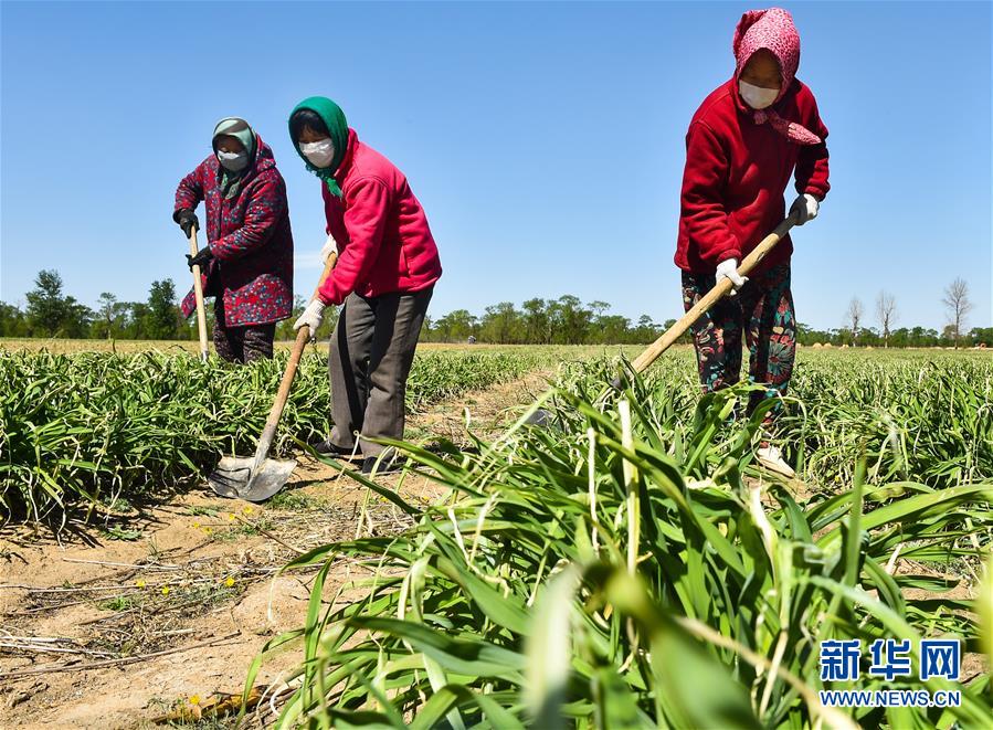 （新華全媒頭條·圖文互動(dòng)）（17）從人民中汲取磅礴力量——習(xí)近平總書(shū)記同出席2020年全國(guó)兩會(huì)人大代表、政協(xié)委員共商國(guó)是紀(jì)實(shí)